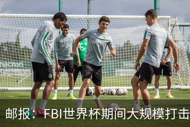 邮报：FBI世界杯期间大规模打击无人机活动，一名非法移民被捕